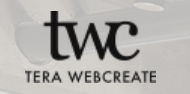TeraWeb logo